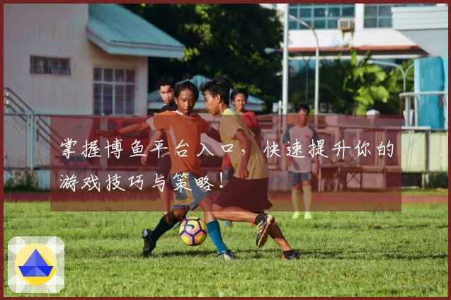 掌握博鱼平台入口，快速提升你的游戏技巧与策略！