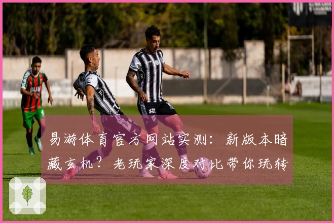 易游体育官方网站实测：新版本暗藏玄机？老玩家深度对比带你玩转高收益打法