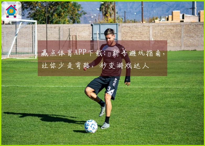 赢点体育APP下载：新手避坑指南，让你少走弯路，秒变游戏达人