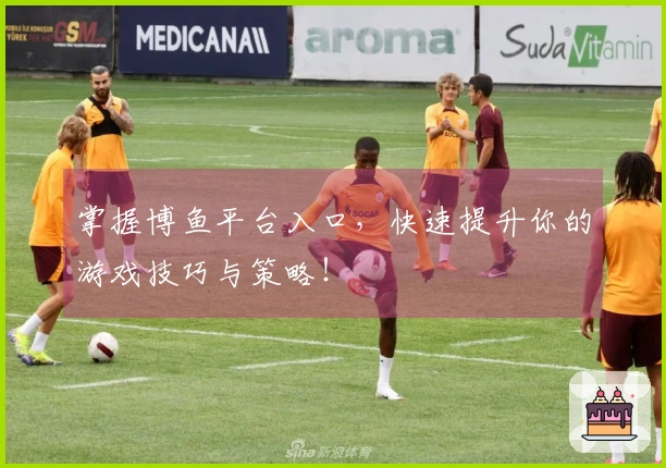 掌握博鱼平台入口，快速提升你的游戏技巧与策略！